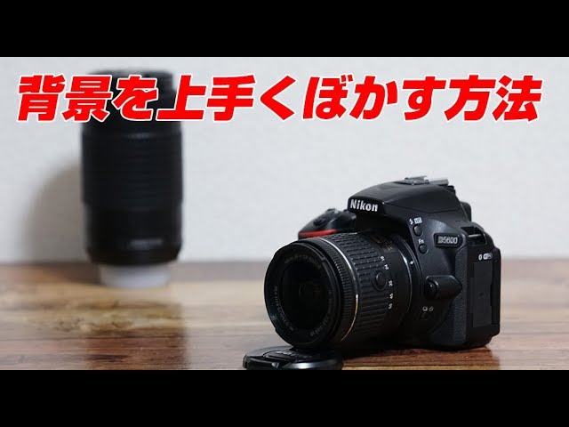 Nikon D5600背景を上手くぼかす方法 - YouTube