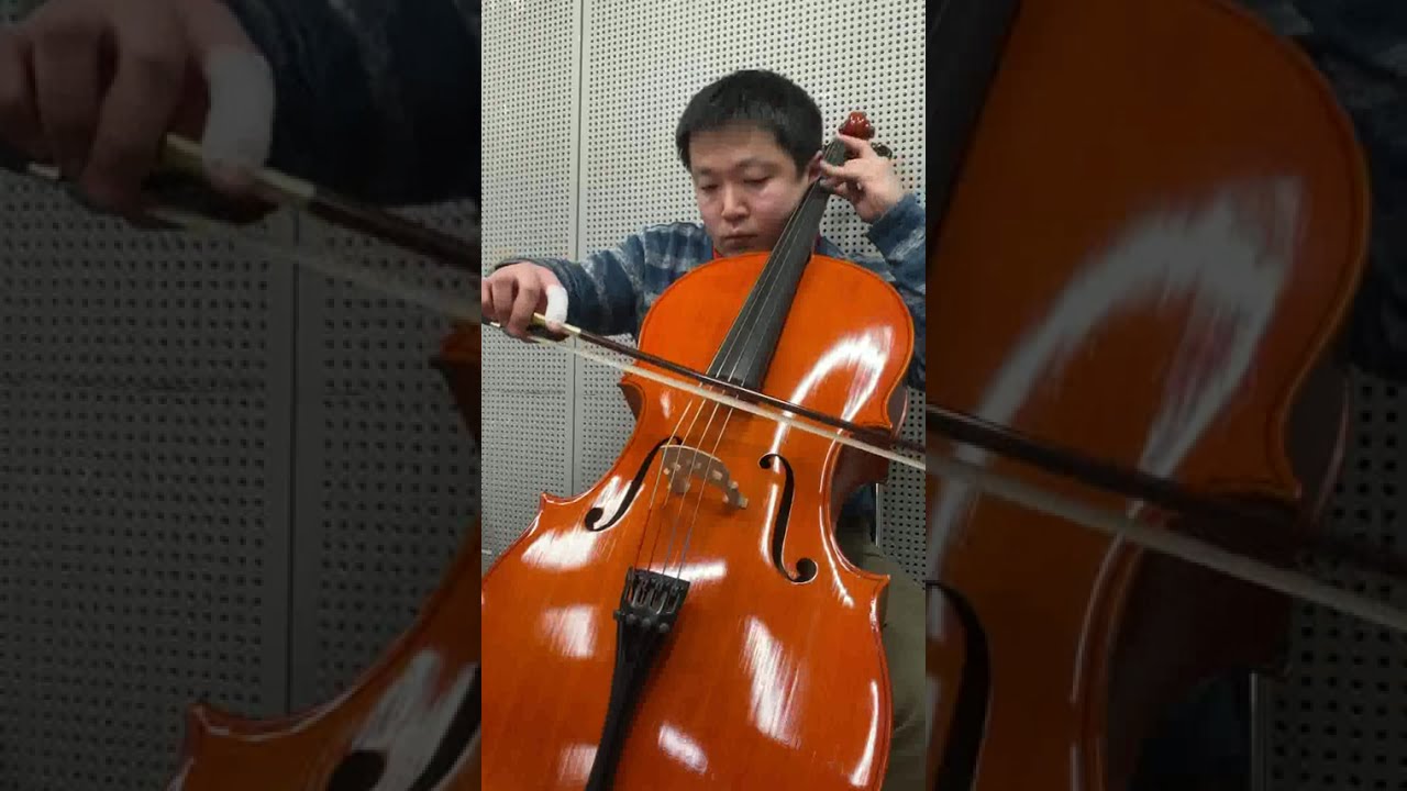 Brahms:Sonate for Cello and Piano No.2 F dur Op.99 3rd Mov