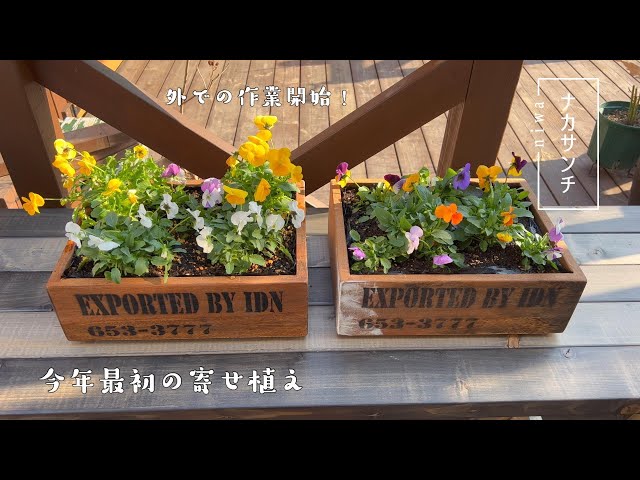 植え付け] 木箱でビオラの寄せ植えを作る - YouTube