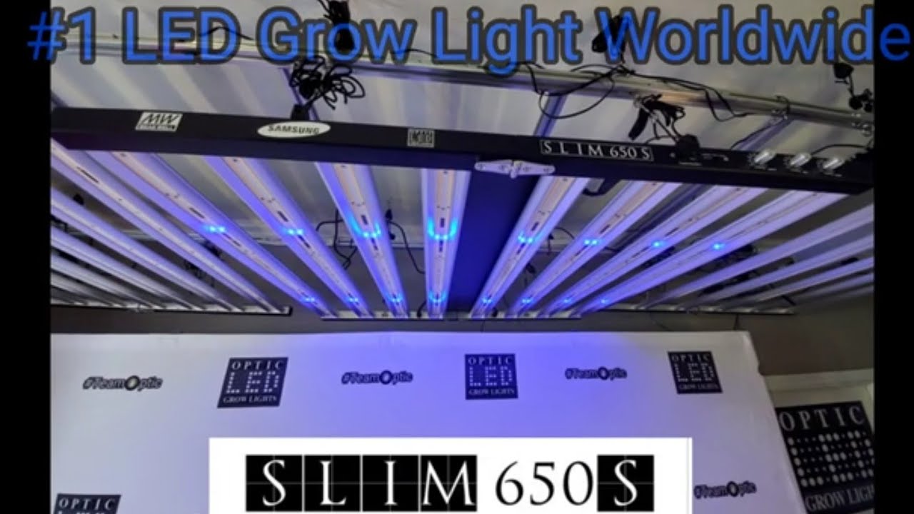 Slim 650S LED Grow Light Review - Spectrum Control - 3.0 umols/J