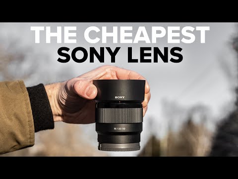 Sony 50mm F1.8 - You can't go wrong for this price - YouTube
