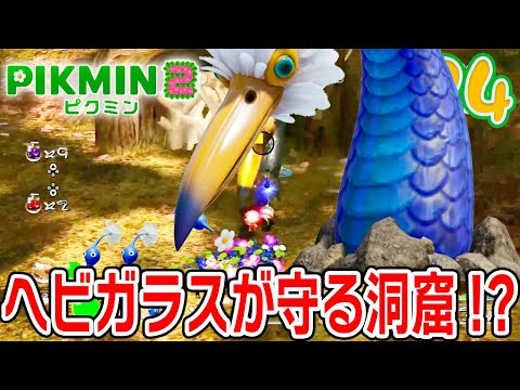 A cave guarded by a snake crow. A snake crow's hole!? [Pikmin 2