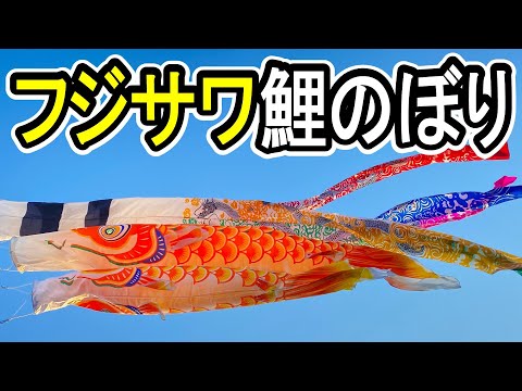 フジサワ鯉のぼり】旭昇龍吹流し4m 橙3m 橙2m あげてみた動画26弾