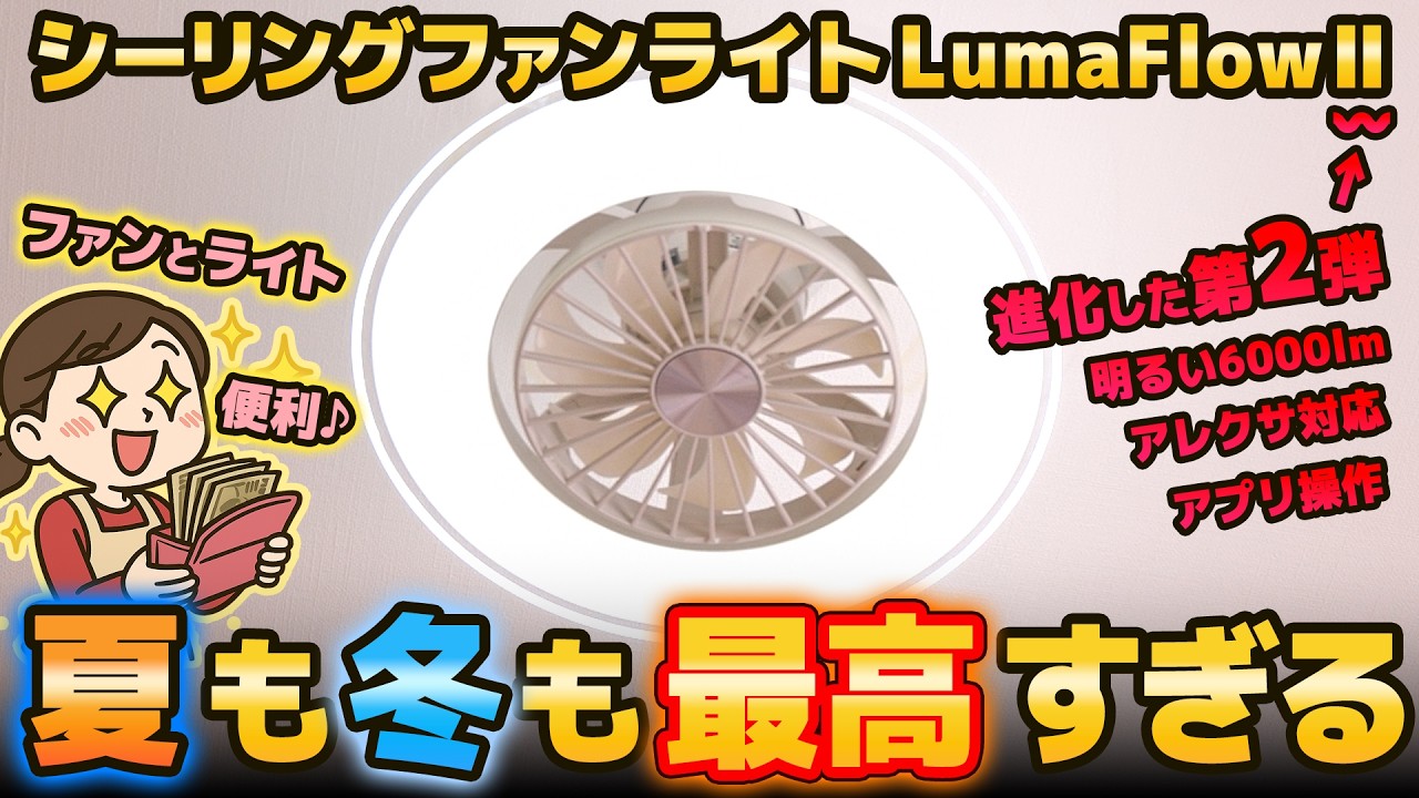 Lighting + fan is the best combination! Review of the ceiling fan