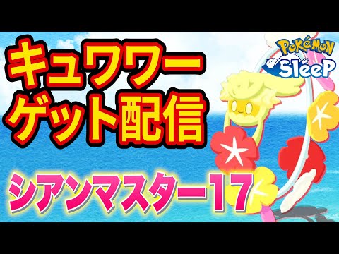 絶対にキュワワーをゲットするシアンの砂浜マスター17睡眠リサーチ配信