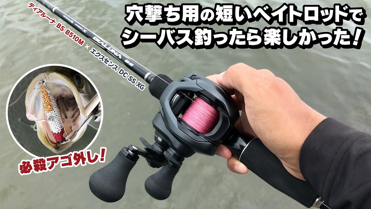 シーバス】穴撃ち用の短いベイトロッドでシーバス釣ったら楽しかった