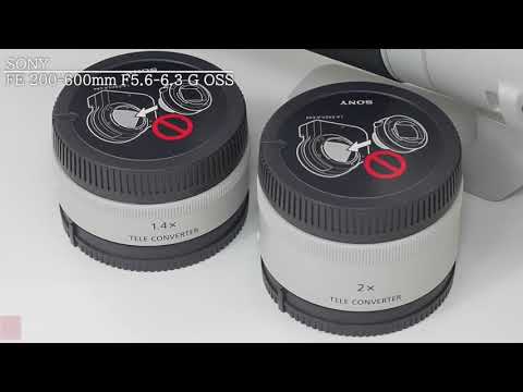 10000円キャッシュバック ～5/11まで】 ソニー FE 200-600mm F5.6-6.3