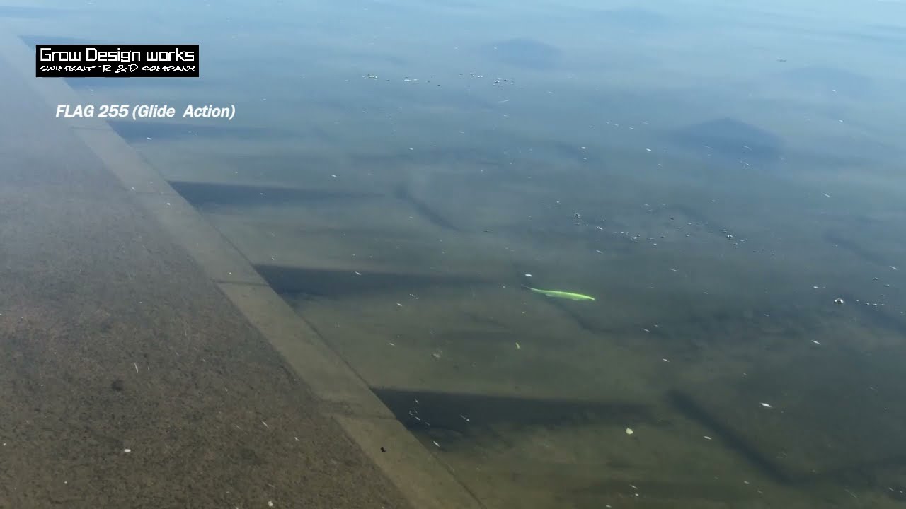 FLAG 255 Glide - YouTube