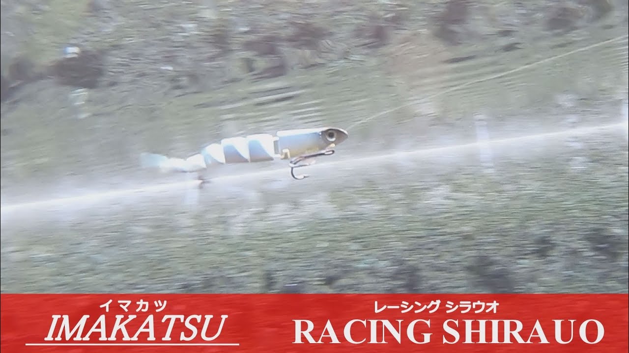 イマカツ レーシングシラウオ 水中映像 ジョイントベイト 河口湖ルアー