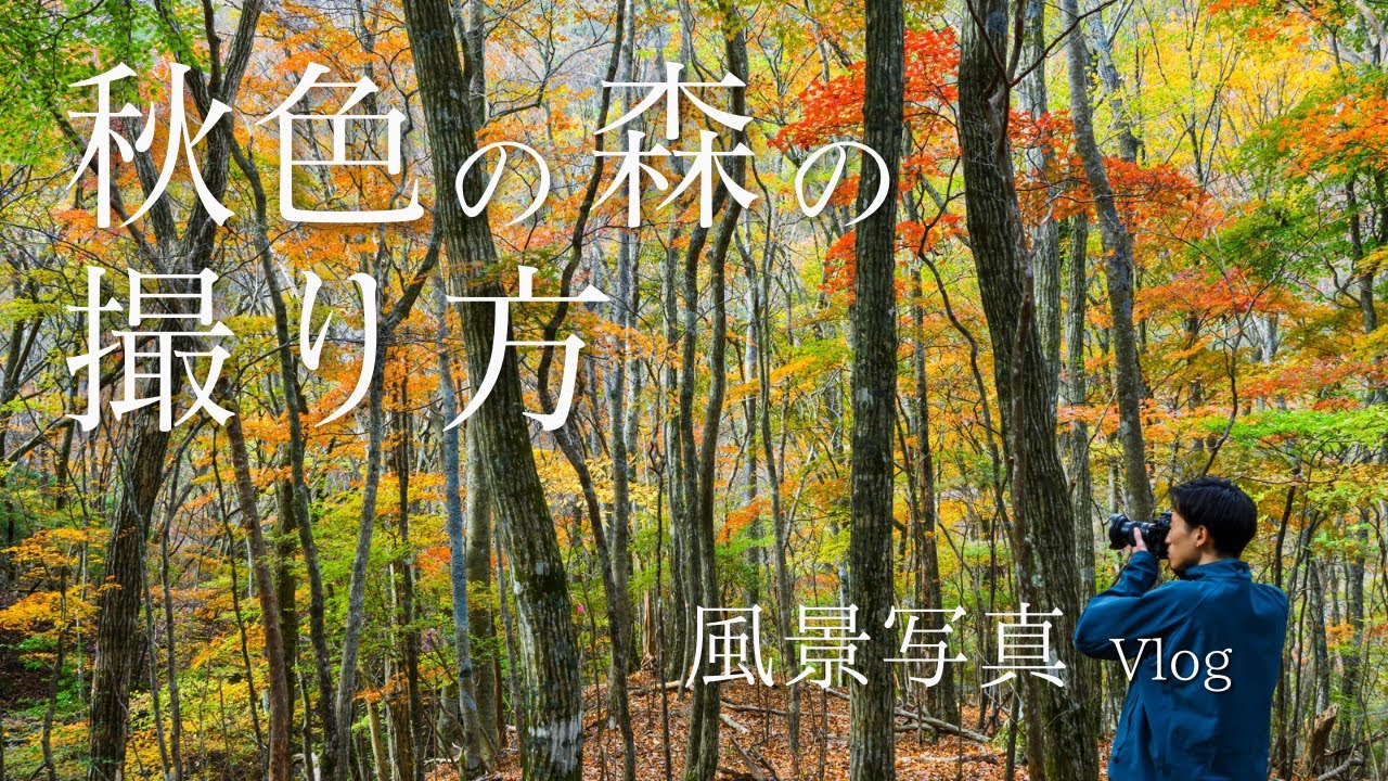風景写真】 色彩あふれる秋の森 紅葉の全てを被写体に | Nikon Z - YouTube
