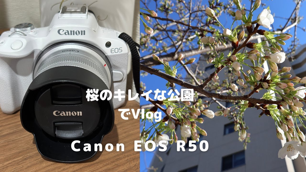 初心者にオススメのカメラ📸ミラーレス『Canon EOS R50』を使用して