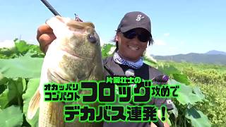 Spirado BLACKART B67 Frog - オカッパリ コンパクトフロッグ攻めで