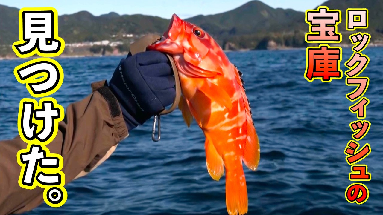 Rockfish fishing off the coast of Kushimoto with lures and bait
