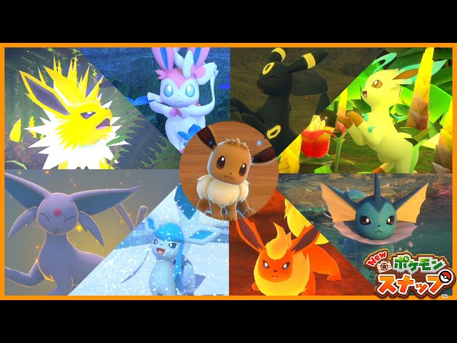 ポケモンスナップ】かわいいブイズ大集合！全ブイズ 星☆1～4 高得点の
