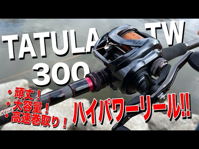 Tatuula 300] Seriously, the power and weight are incredible! A