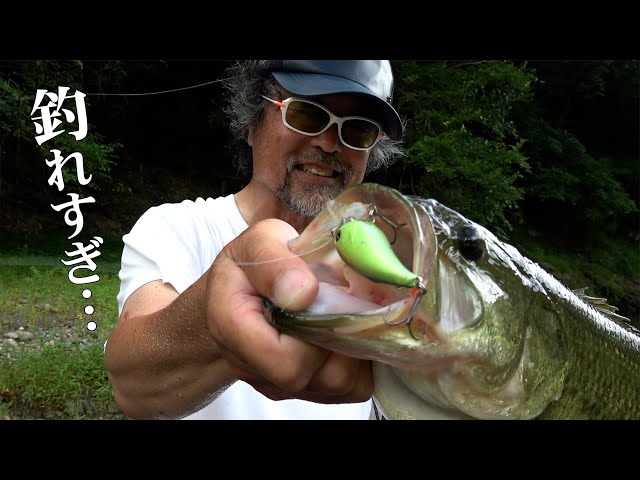 New products for 2026! - YouTube