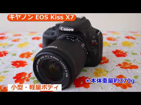 キヤノン EOS Kiss X7 EF-S18-55 IS STM レンズキット | デジタル一眼レフ