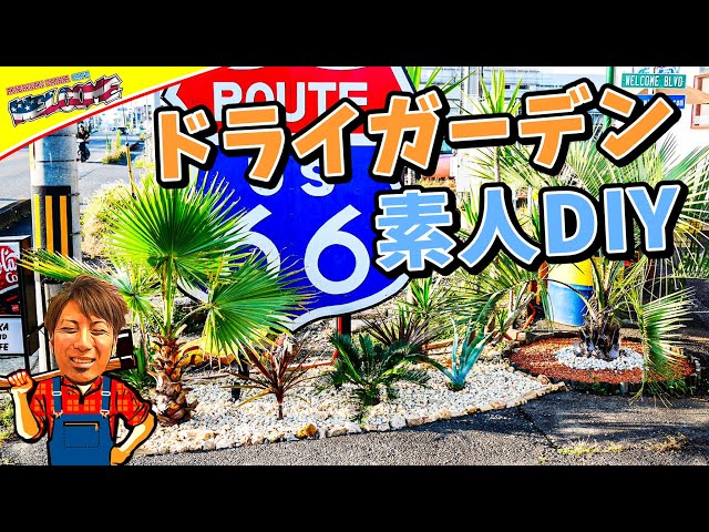 観葉植物】ワシントンヤシの地植え作業 素人DIYによるドライガーデン