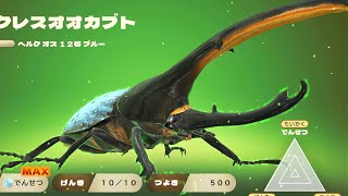 カブトクワガタ - つよさ500最強のヘルクレスブルー誕生 新世代甲虫