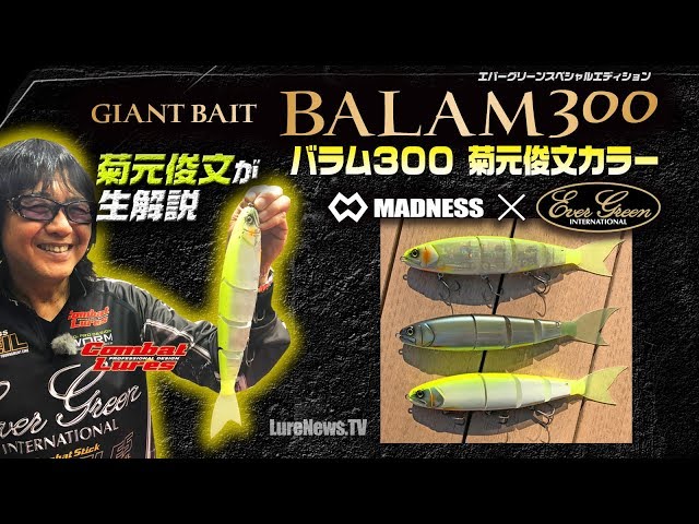 Balam 300 Kikumoto Toshifumi color [Madness x Evergreen] Kikumoto