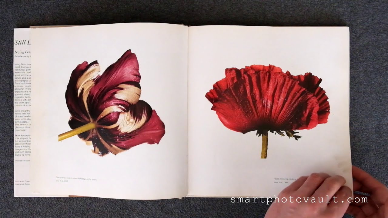 STILL LIFE - IRVING PENN PHOTOGRAPHY BOOK - YouTube
