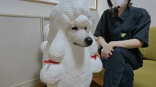 置物 プードル かわいい 大型 フィギュア ヴィンテージ 大きい
