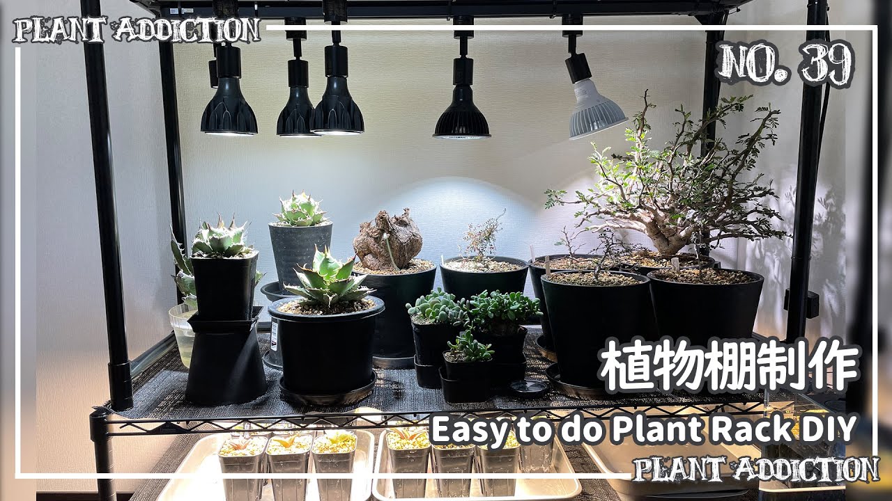 I made a new plant rack! \Easy to do pant rack DIY No.39 - YouTube