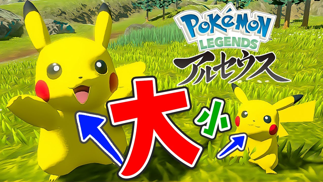 激レア！特大『オヤブン』ピカチュウの捕まえ方！専用技やイーブイ大量