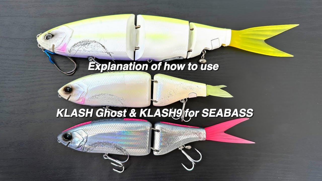 How to] Only those who can't catch sea bass in Ghost & Crash 9