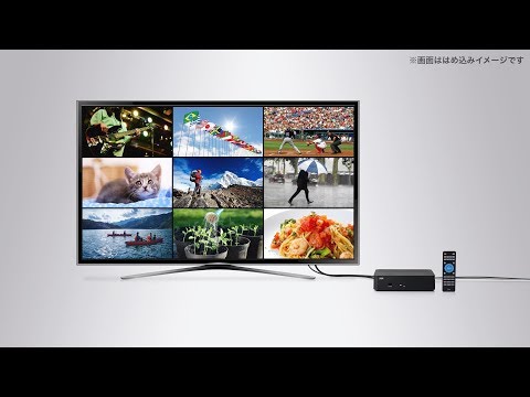 地デジチューナー（地上デジタルチューナー・ワンセグ・フルセグ・HDMI