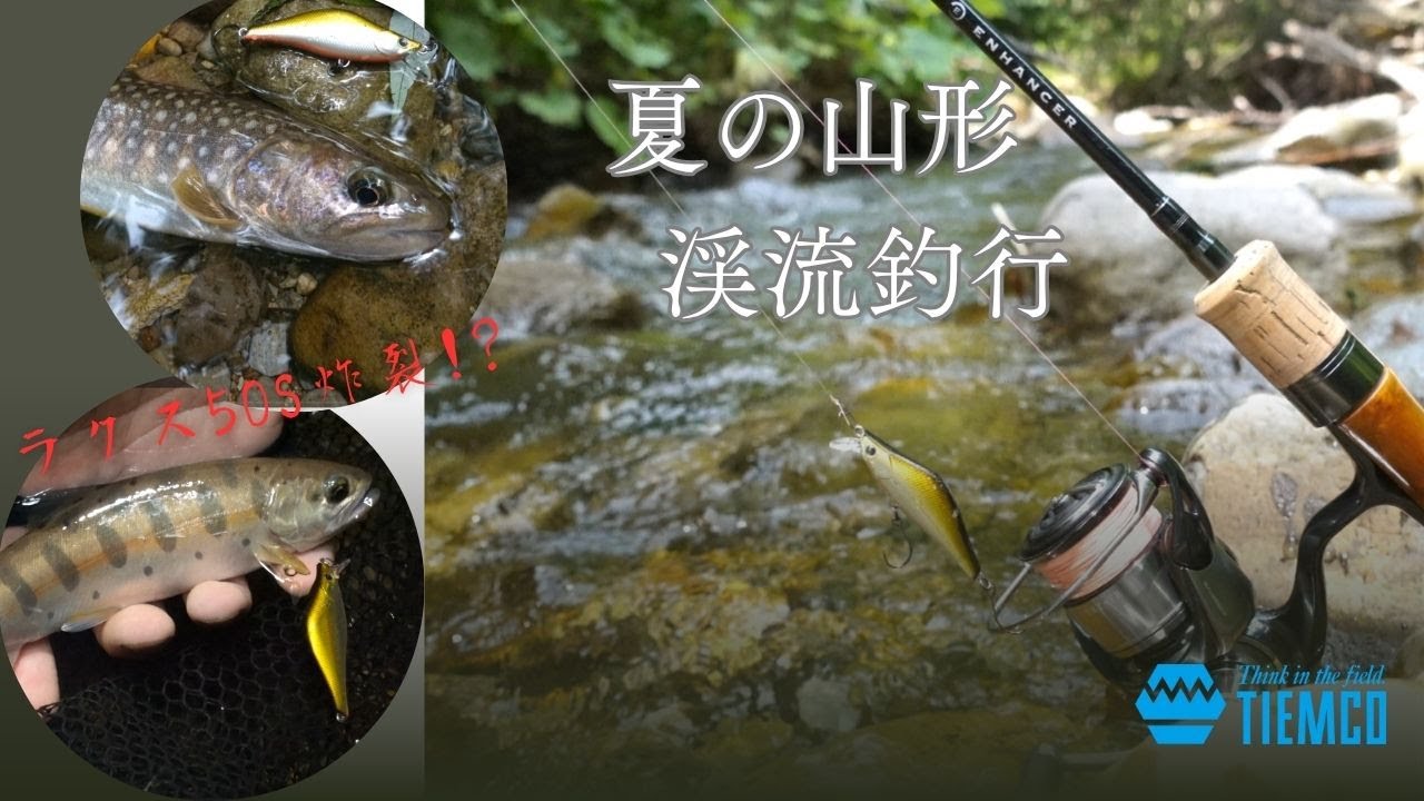 2025新製品】Newエンハンサーシリーズ【トラウトロッド】 - YouTube