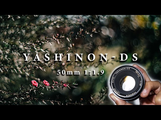 次流行る3000円で買えるオールドレンズYASHINON-DS 50mm F1.9 作例紹介