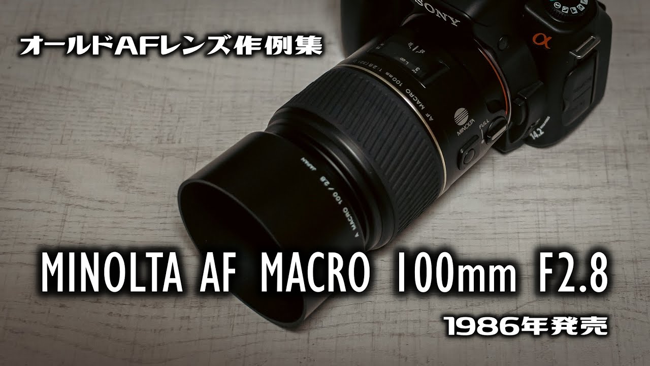オールドAFレンズ作例集 MINOLTA（ミノルタ） AF MACRO 100mm F2 8