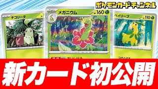 初公開】草エネルギーの数2倍！？強力な特性を持ったメガニウムたちを