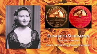 クレデンザ1926×78rpmの邂逅】エリーザベト・シューマン