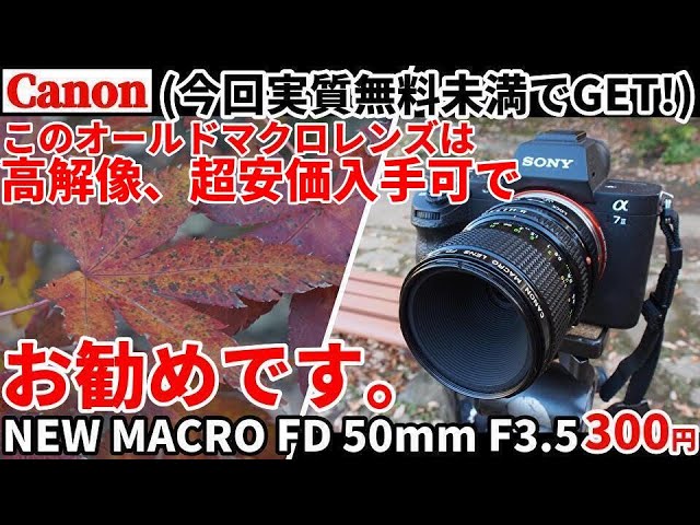 ジャンクレンズCANONオールドマクロが実質無料⇒高解像超安価でお勧め