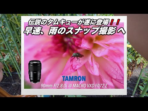 伝説のタムキュー TAMRON 90mm F2.8 Di III MACRO VXD F072 Z 雨の