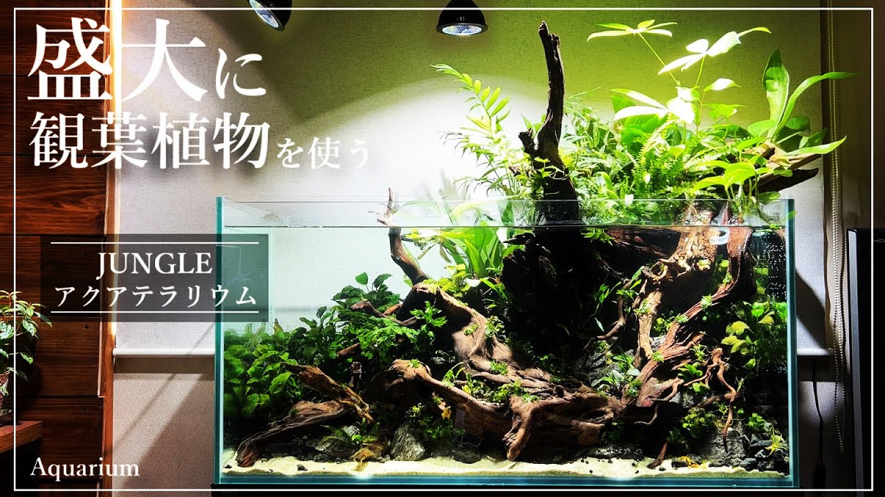 DEZERT 「変」「飼育部屋」 DEZERT 「変」「飼育部屋」 DEZERT 「変