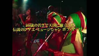 狂熱のラスト・パフォーマンス。ライブ・ドキュメンタリー『ボブ