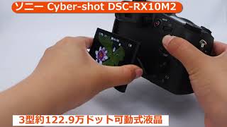SONY DSC-RX10M2 — 高性能ブリッジカメラの魅力! | パンダスタジオ