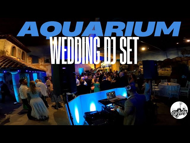 Full Wedding Dj Mix | Dj Julz | Long Island Aquarium, NY (Oldies