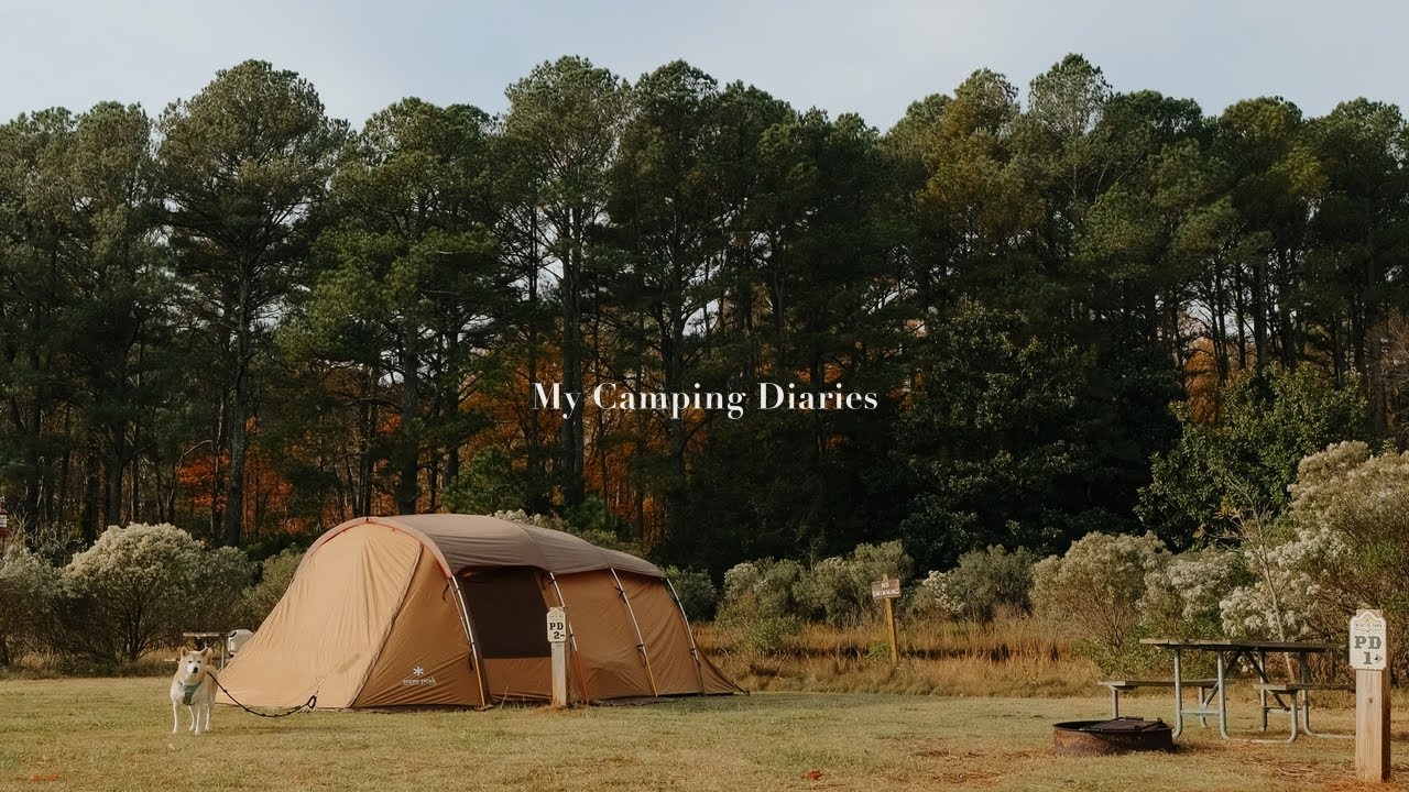 🏕 Snow Peak Camping X Shiba Inu . IGT TP880 . Cozy Camping in