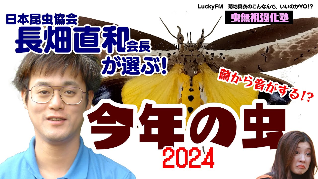 衝撃注意】いいのかYO!?虫無視強化塾 日本昆虫協会長畑会長が選ぶ