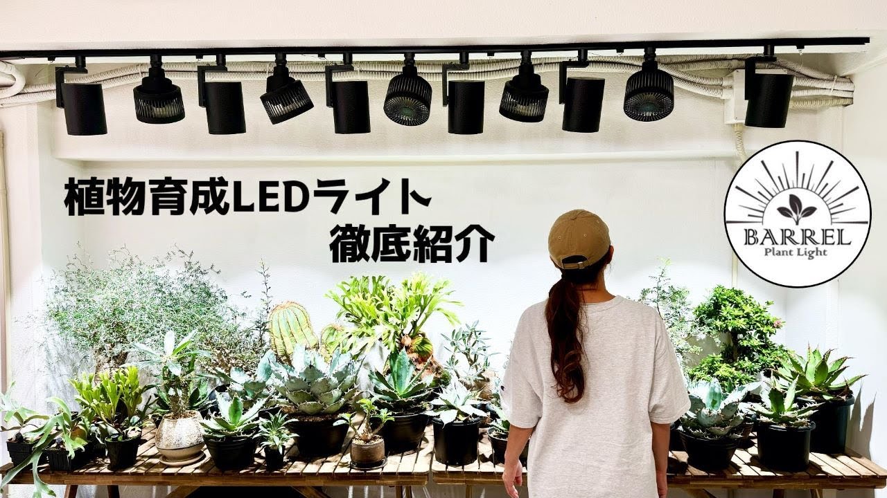 植物】植物育成LEDライトで超有名なBARRELさんに潜入取材（植物育成LED