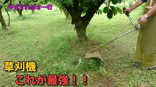 2023柿＃6】ナイロンコードにはこの草刈機一択 ゼノア BC4410EZ