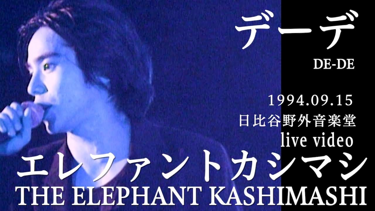 THE ELEPHANT KASHIMASHI 