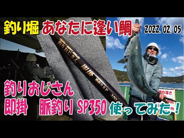 釣りおじさん即掛脈釣りSP350 使ってみた！ INあなたに逢い鯛釣り堀