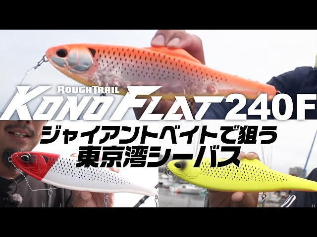 シーバス】ビッグベイトパターンでランカーシーバスを狙え - YouTube