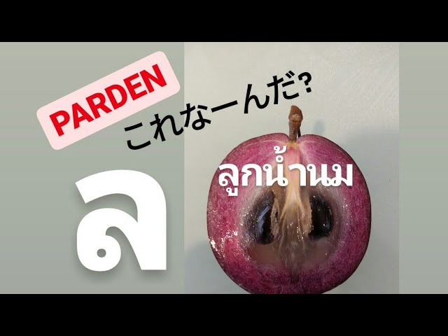 バンコクでは手に入りにくいフルーツ STAR APPLE （MILK FRUITS）を