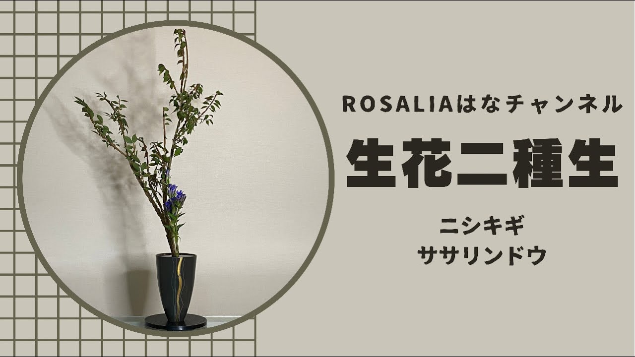 池坊【いけばな Ikebana】『生花二種生』基本形🍂 秋の紅葉した木物に